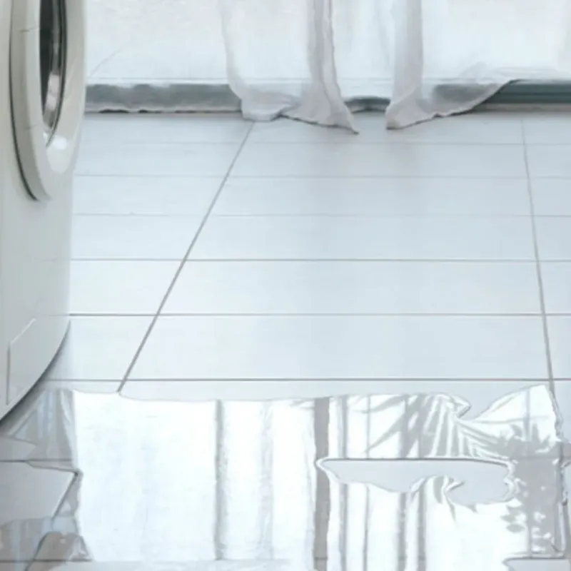 Appliance Leak Cleanup in Wenonah, NJ