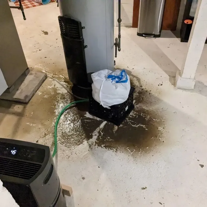 Sewage Backup Cleanup Service in Wenonah, NJ